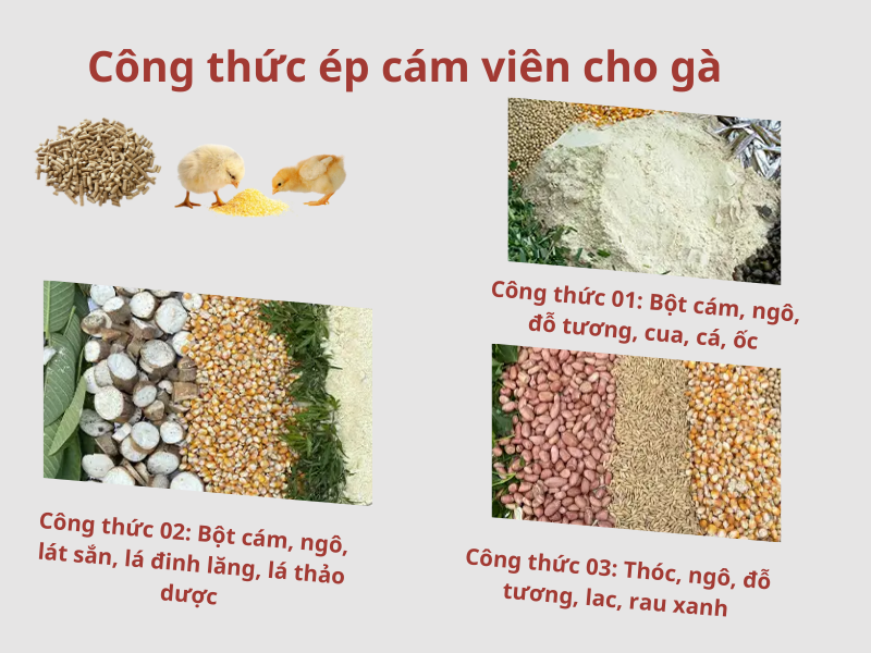 Máy ép cám viên S450 